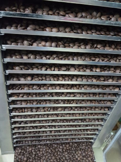 Hạt sachi sấy dòn daklak bịch giấy như hình 500g