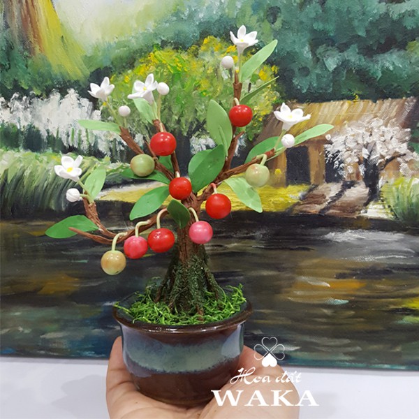 Bonsai Mini- Cây Táo Mini 01