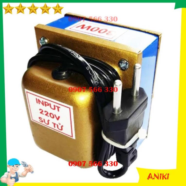 Biến áp 300W đổi nguồn 220V ra 110V 120V Đsg