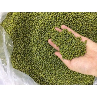 Đậu xanh hạt to nguyên vỏ túi 500g, 1 kg