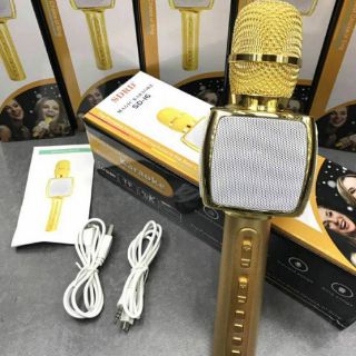 Micro Hát Karaoke kiêm loa Bluetooth SD16