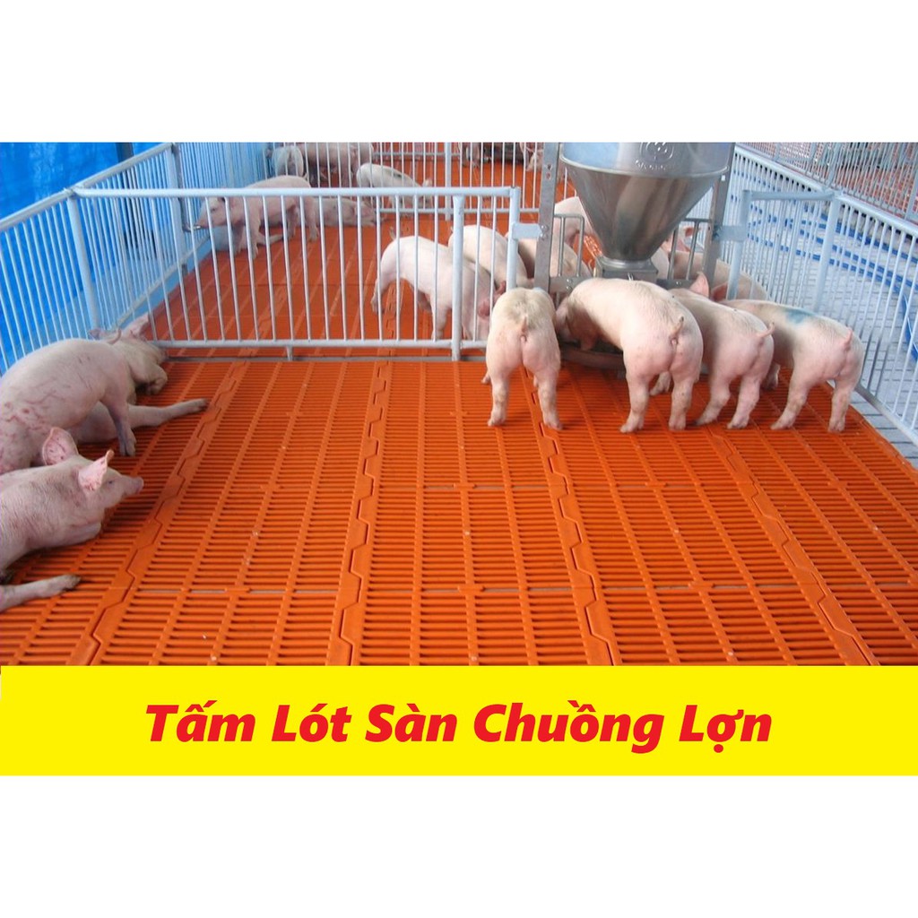 TẤM NHỰA LÓT SÀN CHO LỢN, GÀ, CHÓ, MÈO...