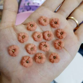 Hoa đậu ( gạt ảnh xem màu)