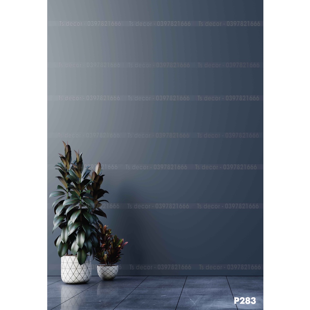 Phông Nền Livestream Chụp Ảnh Phào Chỉ Sang Trọng 3D 5D