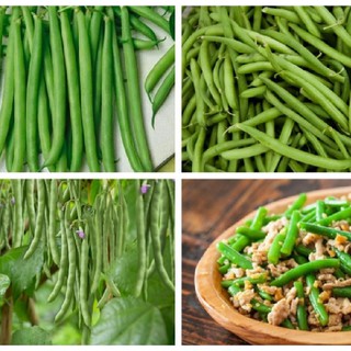 Hạt giống Đậu Cove Leo Giàn Cao Sản  { gói 50gram }