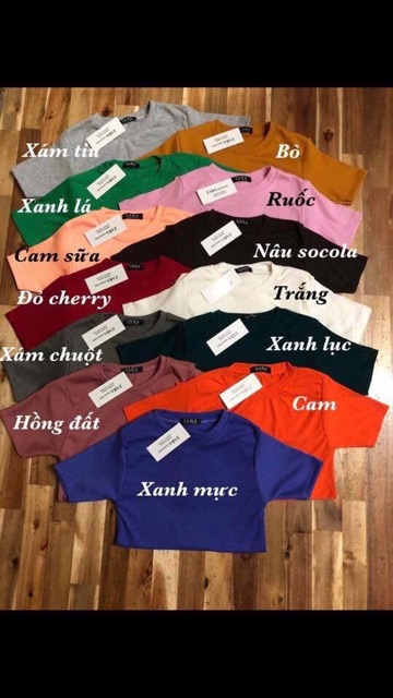 Áo thun body .