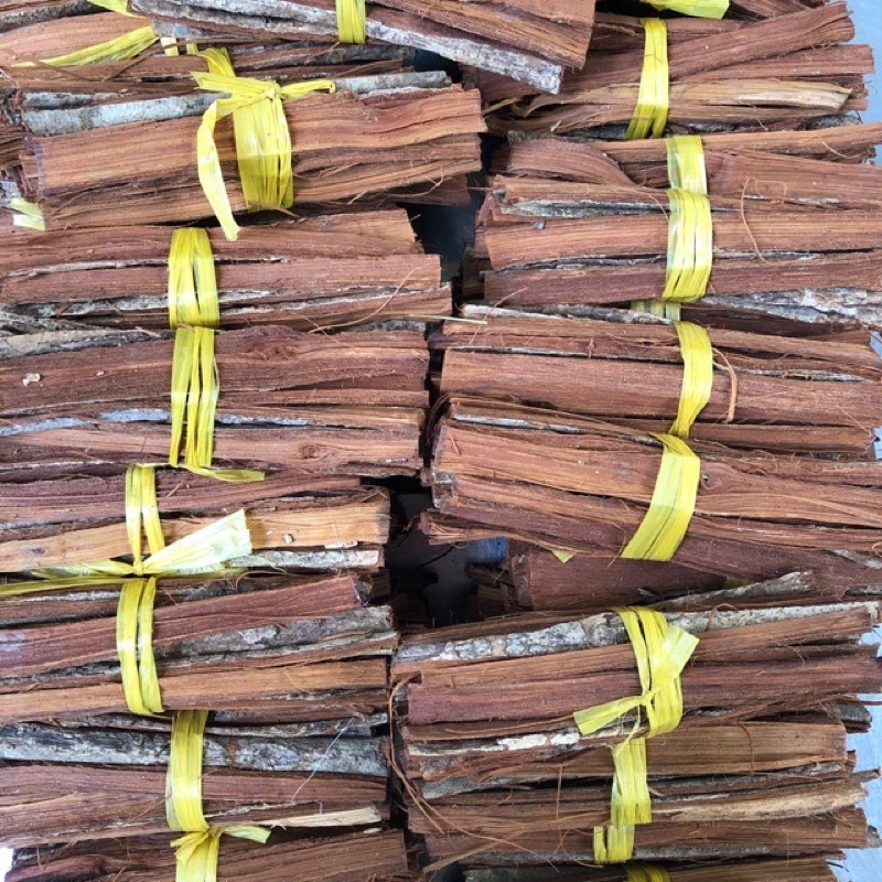 CÂY TẮM BÀ ĐẺ - (Shop chỉ bán Vỏ Cây) Loại cây này ở Đồng Nai