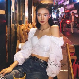 Áo cúp tay bồng