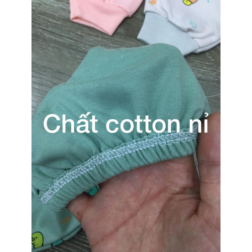 Quần chục cotton nỉ TOM TOM (19k/1 chiếc)