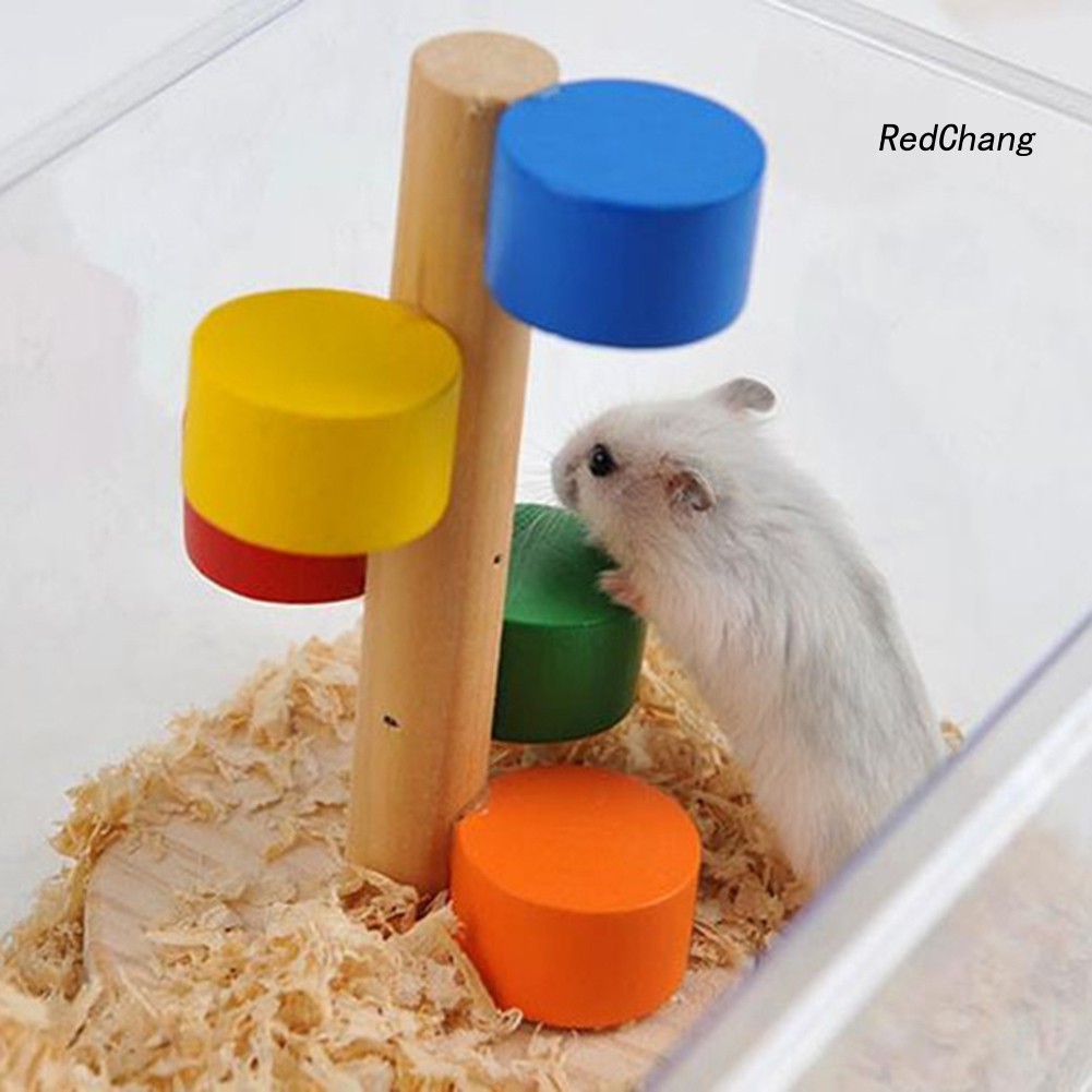 Đồ Chơi Thang Gỗ Mini Nhiều Màu Dành Cho Thú Cưng Chuột Hamster