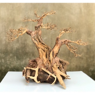 Lũa Bonsai C30xD36 cho bể thuỷ sinh - xưởng Online37