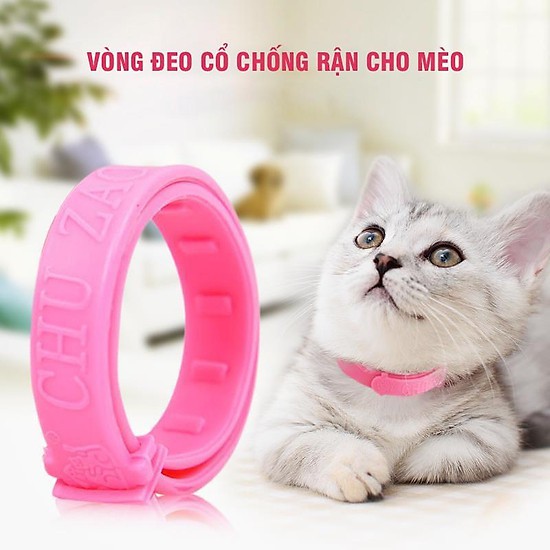 [Mã PET50K giảm Giảm 10% - Tối đa 50K đơn từ 250K] Vòng Cổ Chống Ve Rận Bọ Chét Cho Chó Mèo