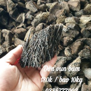 Dớn vụn trồng lan