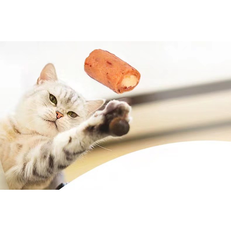 Ciao Churubi -Snack thưởng cho mèo (DATE T7/22 )