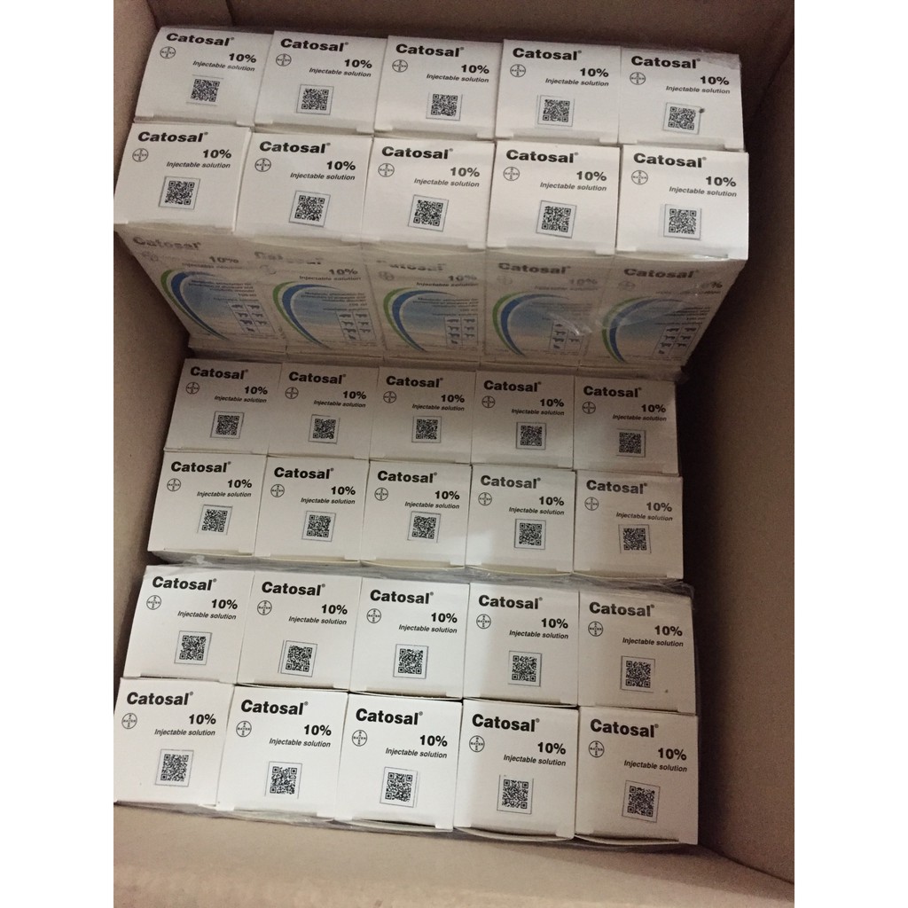Thuốc bổ thú cưng Catosal 100ml