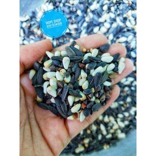 Mix 3 loại hạt Kham, Bo bo, Hướng dương đen - Thức ăn Hamster, Đuôi mập