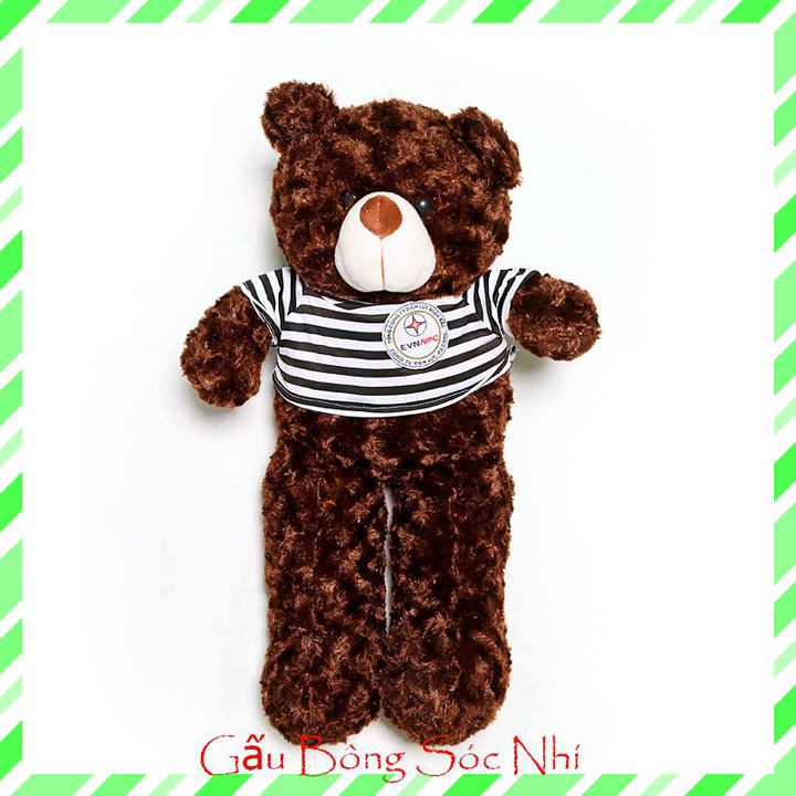 Gấu Bông Teddy Xinh Xắn  FREESHIP  Gấu Bông Sóc Nhí - Gấu bông teddy cao cấp