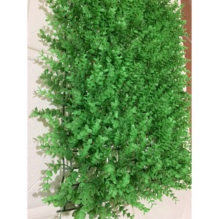 Cỏ nhựa trang trí tai chuột 40cm x 60cm