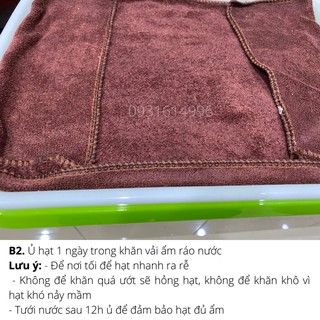 01KG CỎ LÚA MẠCH NHẬP KHẨU ÚC - DATE MỚI