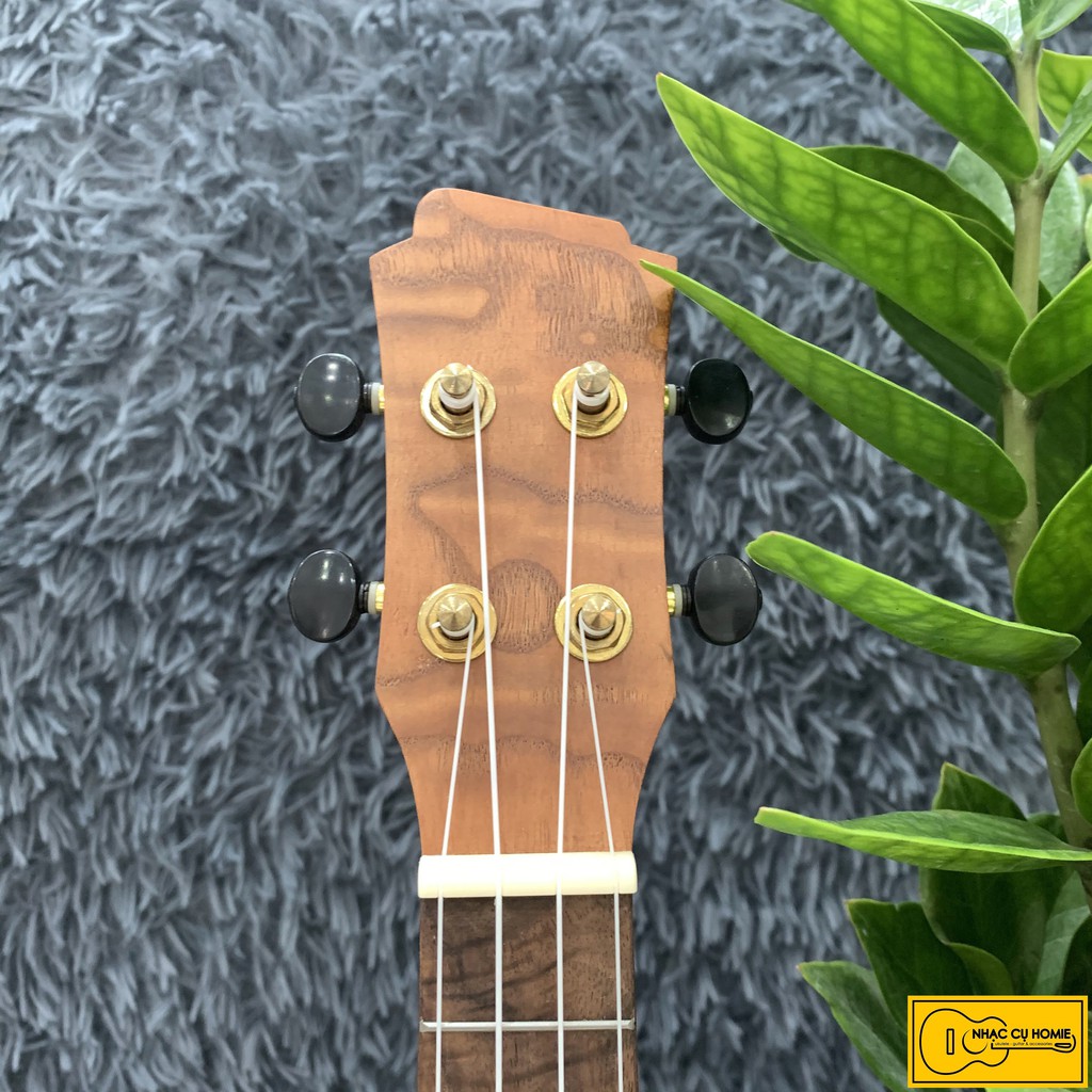 ĐÀN UKULELE CONCERT HOA KHUYẾT 23INCH KHÓA GOLD