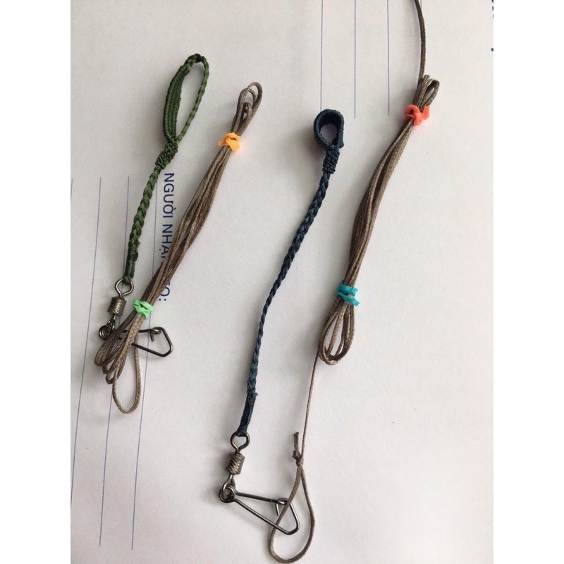 Dây xích chân chim cu gáy nuôi lồng trần