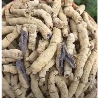 Ba kích tím khô 1Kg loại 1