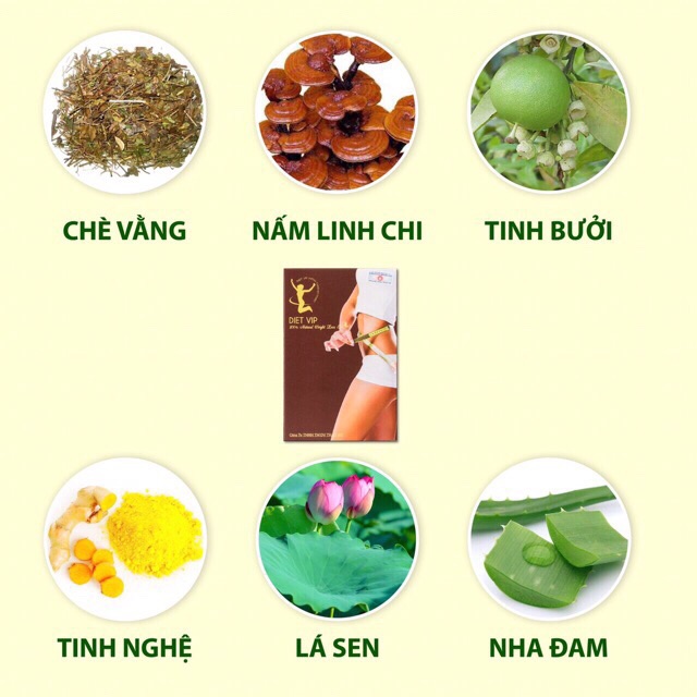 LIỆU TRÌNH DIET VIP