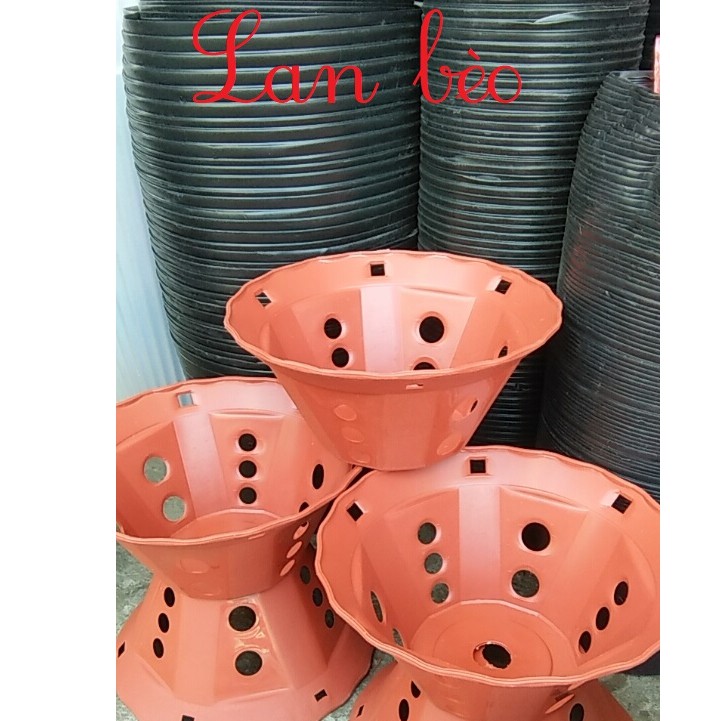 Chậu trồng lan giả gỗ, giả gốm