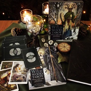 Bài The Wildwood Tarot
