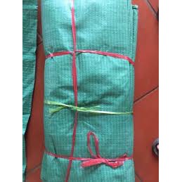 BAO TẢI DỨA XANH
