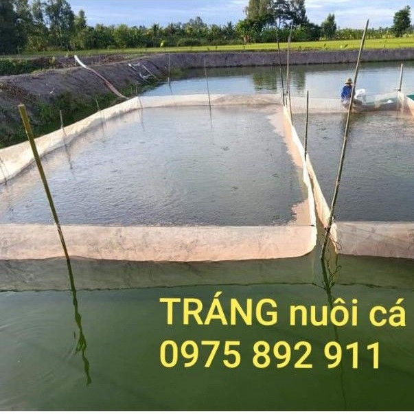 Tráng vèo lồng nuôi ốc , ếch , cá 10x5x1,3