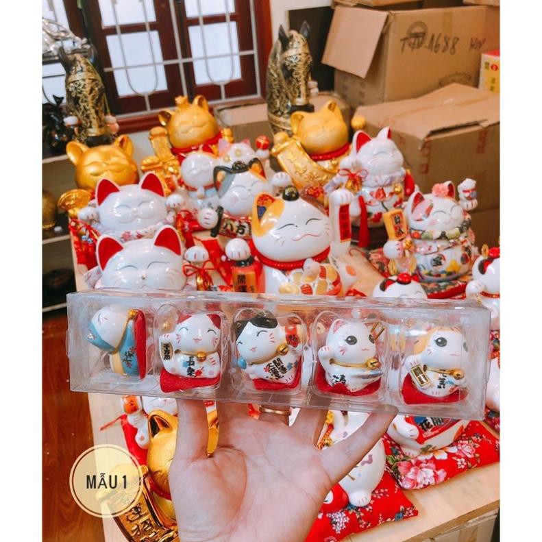 Bộ 5 mèo thần tài mini trang trí, trưng bày góc làm việc, học tập