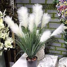 Cây cỏ lau 3 bông dài 30cm trang trí nhà cửa