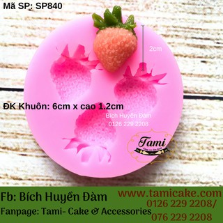 Khuôn silicon bộ 3 trái dâu SP840
