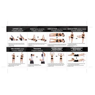 Dây kháng lực giãn cơ - ProTec Athletics Stretch Bands