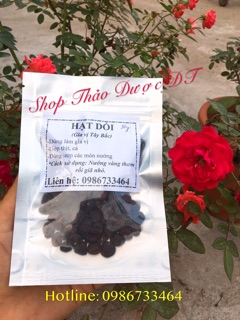 Hạt dổi nếp + mắc khén dùng thử - đặc sản Tây Bắc