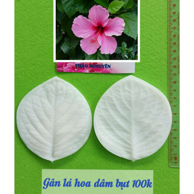 Silicone lá hoa dâm bụt