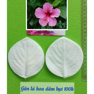 Silicone lá hoa dâm bụt