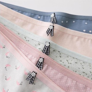 HÈ Quần chip cotton >> 💯 ་ new , ) !
