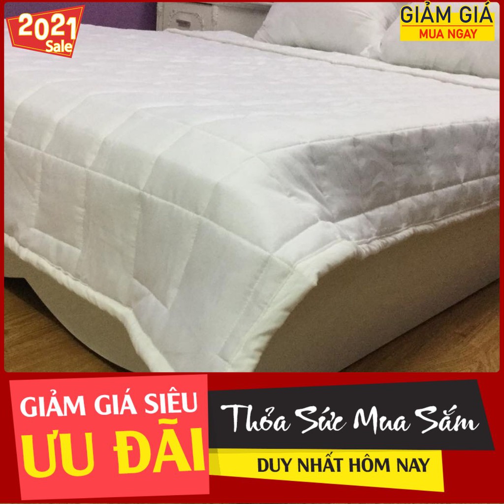 [Xả kho] Ruột Chăn Hè Emmidecor Cao Cấp Loại Đẹp