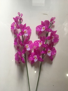 Combo 2 Cành hoa lan hồ điệp
