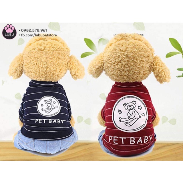 Bộ pet baby đáng yêu cho cún