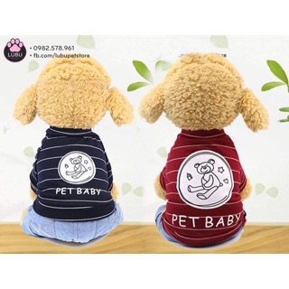 Bộ pet baby đáng yêu cho cún