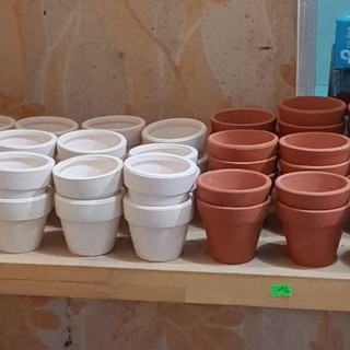 Compo sỉ 50 chậu đất nung kt: 5 x 5cm