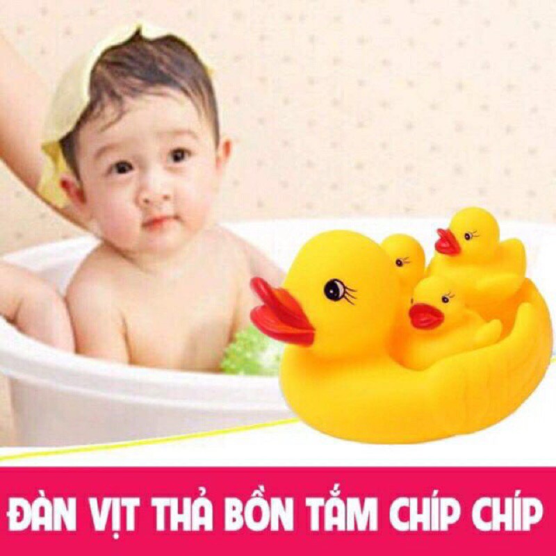 Đàn vịt thả bồn tắm kêu chip chip