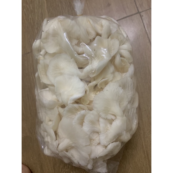 Nấm bào ngư/nấm sò túi 500gr - Trại nấm sạch Bình Minh