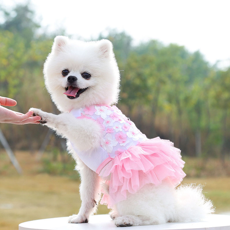 Đầm Công Chúa Xuân Hè Bằng Cotton Nguyên Chất Phối Ren Thoải Mái Hợp Thời Trang Cho Thú Cưng