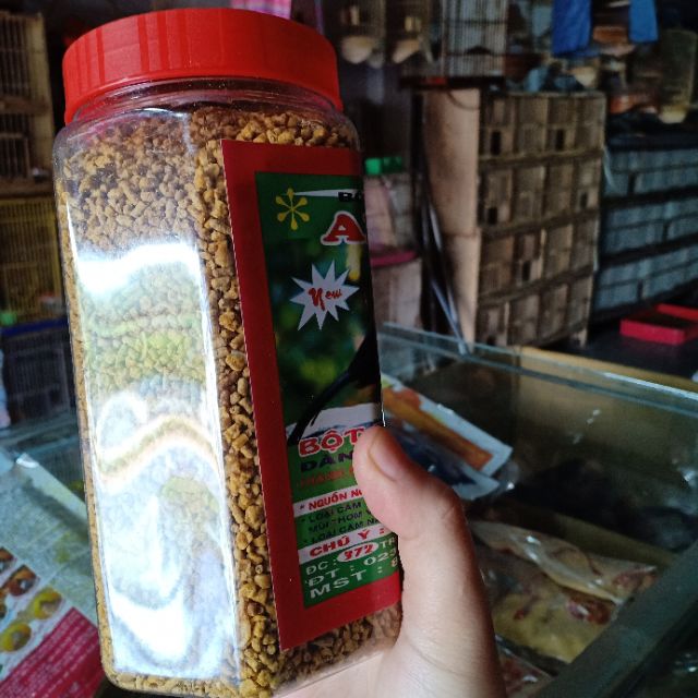 Cám anh thông dành cho khướu, hoạ mi