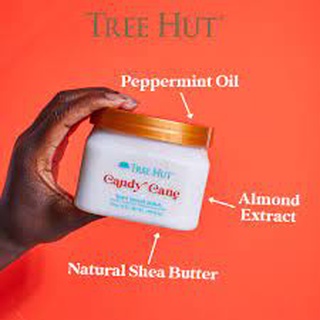 Tẩy tế bào chết cơ thể Tree Hut