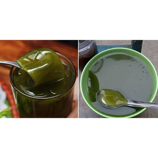 Bột thạch lá găng rừng 1kg